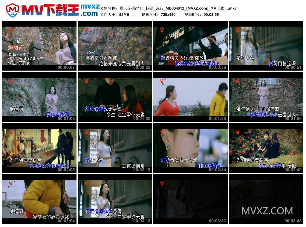 蔡玉珍-绝情雨_国语_流行_MD304612